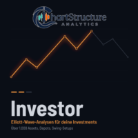 Investor jährlich [Digital]